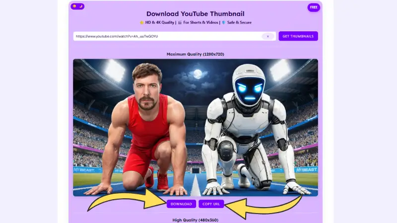 Picknar download buttons displayed below the extracted YouTube thumbnail, showing options to download or copy the URL in high quality.