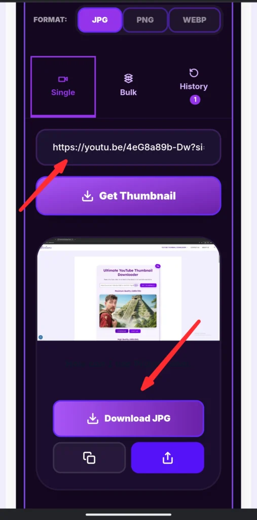 Pasting the YouTube video URL into the Picknar input field to extract the thumbnail image instantly.
