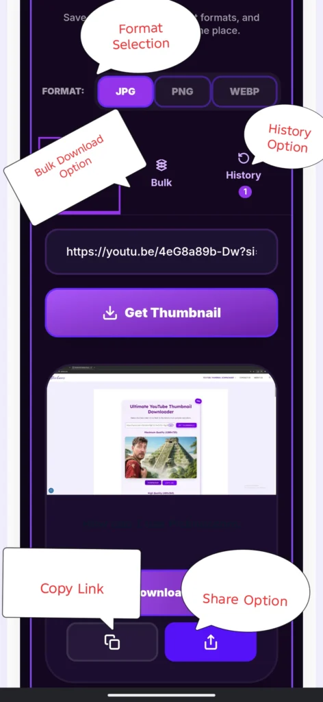 Picknar download buttons displayed below the extracted YouTube thumbnail, showing options to download or copy the URL in high quality. Bulk download option, Format choose option, History choose option, Direct Share option.